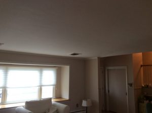 Ceiling Painting Westfield