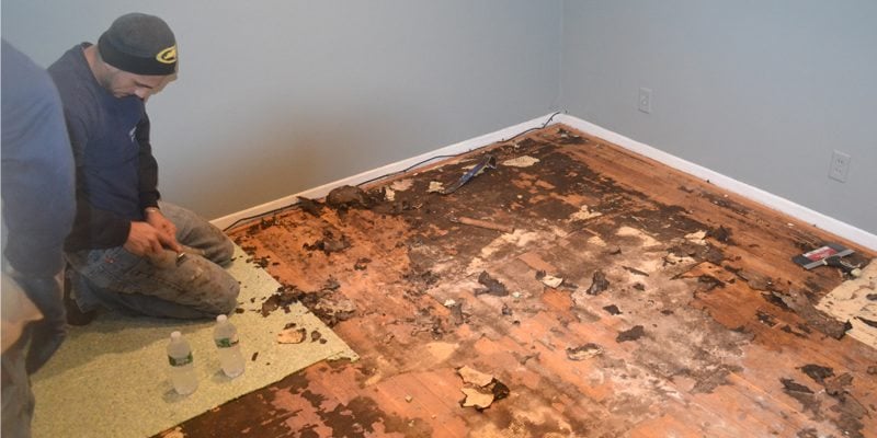 How to Remove Stubborn Carpet Padding From Your Hardwood Floors