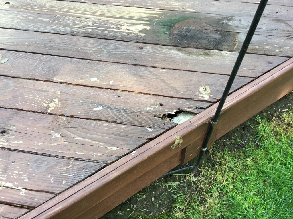 Detail of Deck Rot