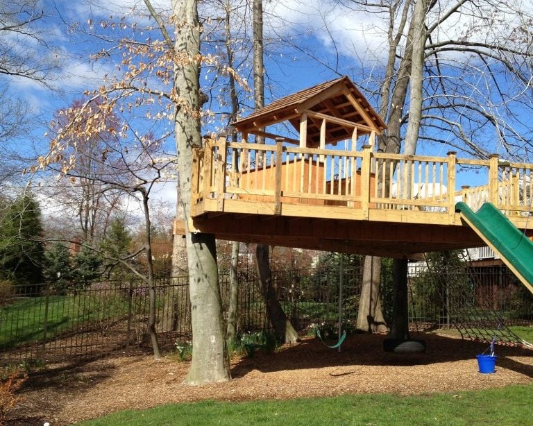 Existing Tree House Before Remodel