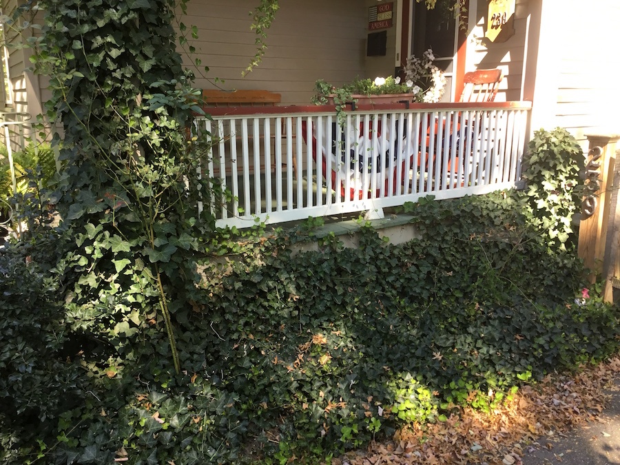 Ivy-Covered Porch