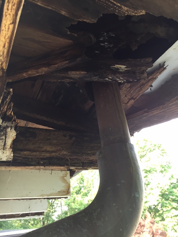 Rotted Soffit Due to Clogged Gutters