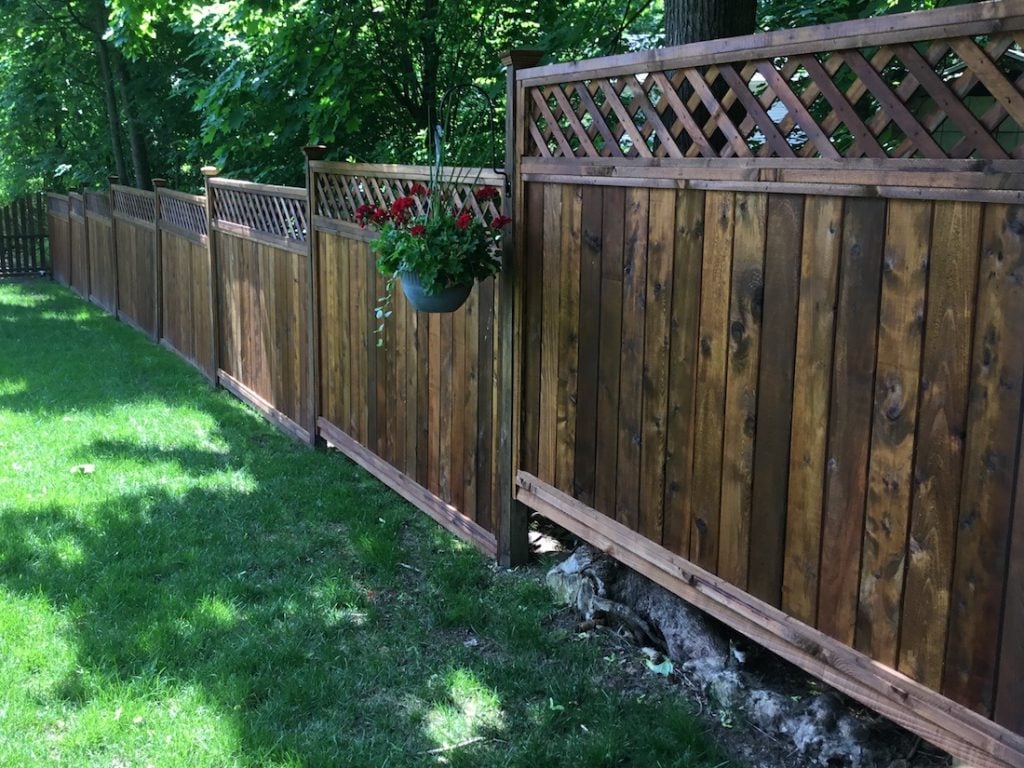 Fence Staining Project