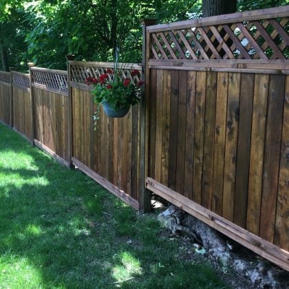 Fence Staining Project