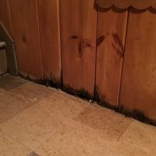 Water Damaged Paneling