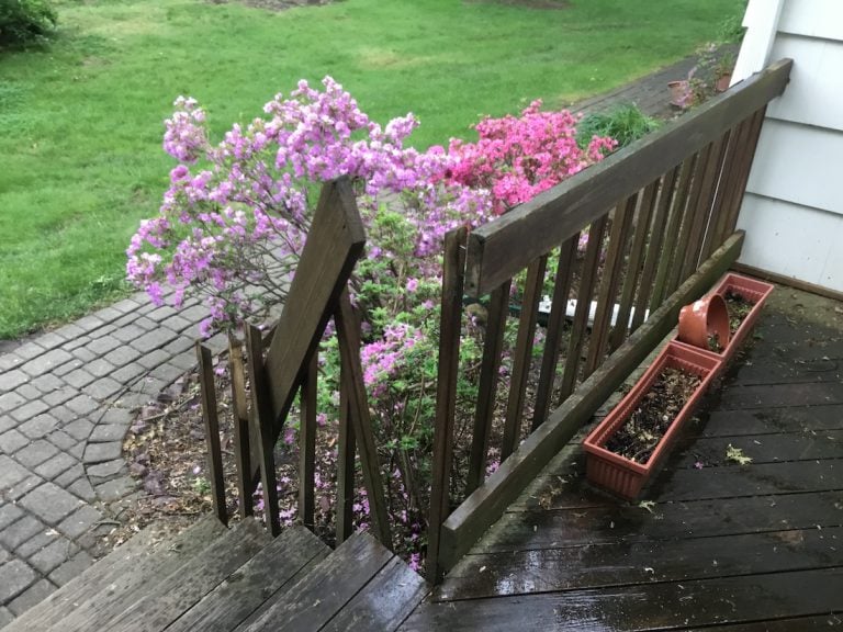 Damaged Deck Repair and Stain Monks Home Improvements