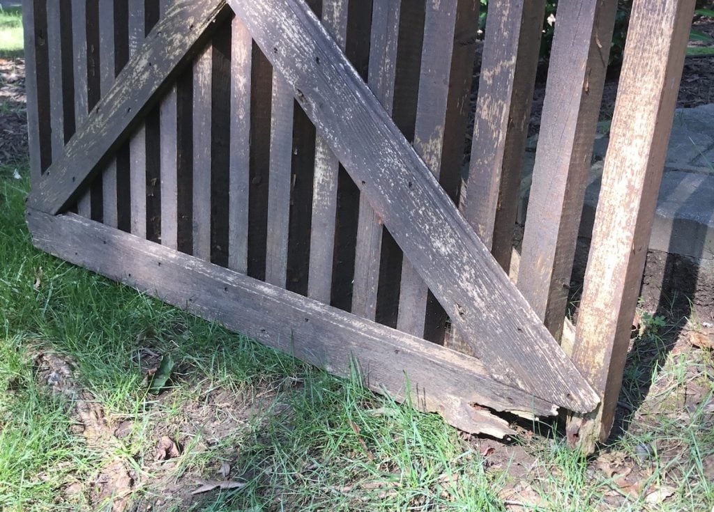 Rotted Gate
