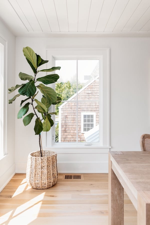 Marvin Elevate Single Window